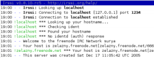 irssi connecting to irc.freenode.net through a tunnel on localhost port 1234